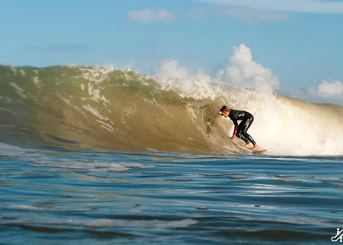 Dortoir De Charme 12 Lits 600m